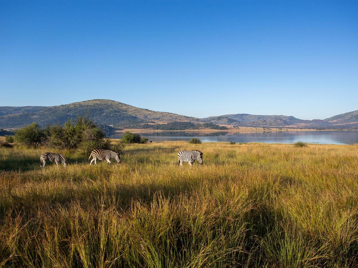 Shepherds Tree Game Reserve Pilanesberg Bagian luar foto